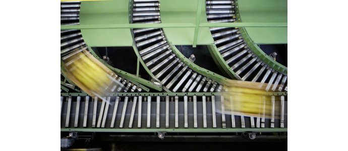 Jakie rodzaje rolek stosuje się w systemach transportowych?